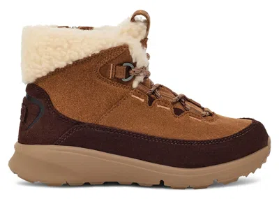 Pre-owned Ugg Terretrail Cozy Lace Boot (kids) Sneakers In Chestnut In Brown