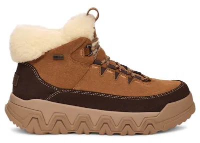 Pre-owned Ugg Terretrail Cozy Lace Boot (women's) Sneakers In Chestnut