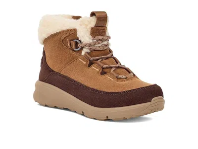 Ugg Terretrail Cozy Lace (little Kid/big Kid) Kids Shoes Chestnut : 2 Little Kid M, Suede In Brown