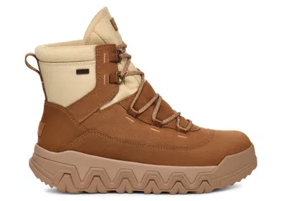 Pre-owned Ugg Terretrail Hitop Boot (women's) Sneakers In Chestnut In Brown