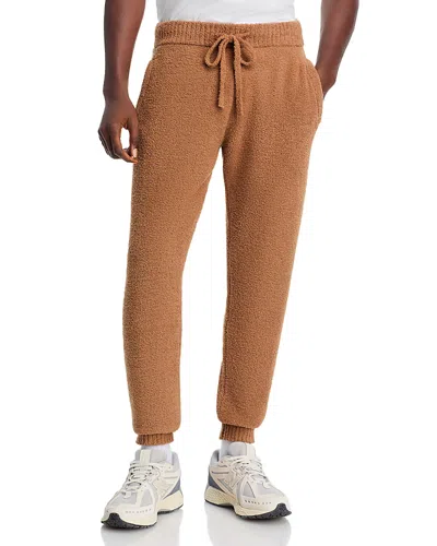 Ugg Thayer Relaxed Fit Joggers In Brown