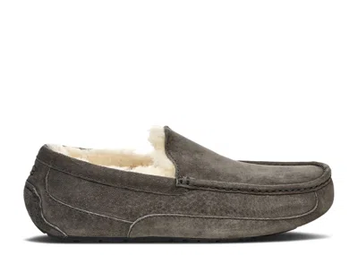 Ugg Ascot Slipper 'charcoal' In Gray