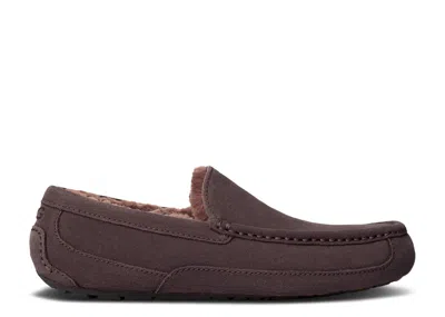 Ugg Ascot Slipper 'dusted Cocoa' In Brown