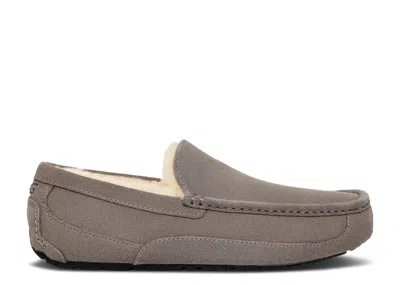 Ugg Ascot Slipper 'grey' In Gray