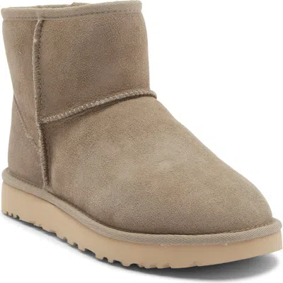 Ugg ®  Classic Mini Ii Genuine Shearling Lined Boot In Cbblg