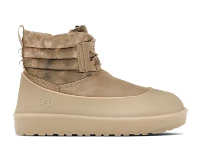 Ugg Classic Mini Lace-up Weather Boot 'mustard Seed' In Brown