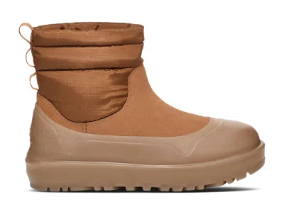 Ugg Classic Mini Mod Boot 'chestnut' In Brown