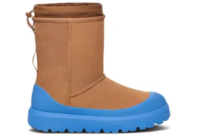 Ugg Classic Short Weather Hybrid Boot 'chestnut Big Sky' In Brown