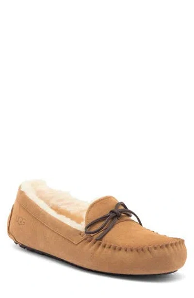 Ugg ®  Corvin Loafer In Chestnut