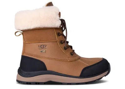 Ugg Wmns Adirondack Iii Boot 'chestnut' In Brown