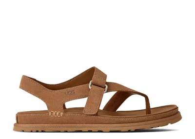 Ugg Wmns Goldengaze Toe Post 'chestnut' In Brown