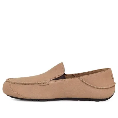 Ugg Upshaw Ts 'sand' In Brown