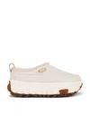 Ugg Ventura Daze Mules In Jasmine
