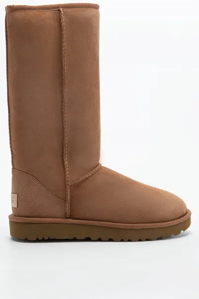 Ugg W Classic Tall Boots In Brown