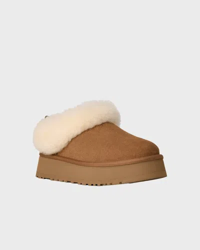 Ugg W Tazzelle Boots Chestnut In Brown