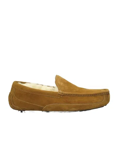 Ugg Waterproof Over-the-shoulder Casual Shoes In Brown