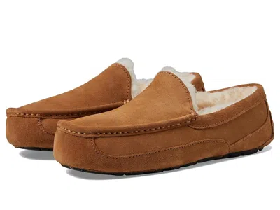 Ugg Ascot Slipper One Pedal Athleisure Casual Sports Shoes Fleece Lined In Multi