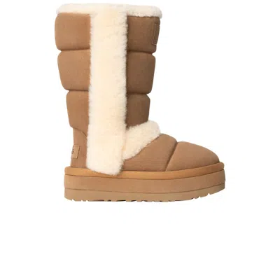 Pre-owned Ugg Wmns Classic Chillapeak Tall Boot 'chestnut' In Brown