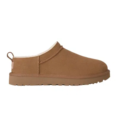 Pre-owned Ugg Wmns Classic Micro 'chestnut' | Brown | Women's Size 8