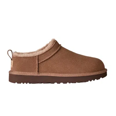Pre-owned Ugg Wmns Classic Micro 'rocky Oak' | Brown | Women's Size 7