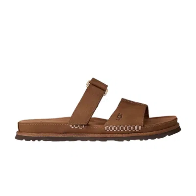 Pre-owned Ugg Wmns Goldengaze Slide 'dark Chestnut' | Brown | Women's Size 7.5