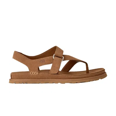 Pre-owned Ugg Wmns Goldengaze Toe Post 'chestnut' | Tan | Women's Size 6.5 In Brown