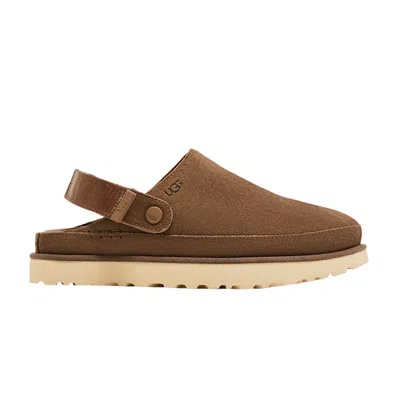 Pre-owned Ugg Wmns Goldenstar Clog 'hickory' | Brown | Women's Size 6
