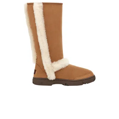 Pre-owned Ugg Wmns Sunburst Tall 'chestnut' In Brown