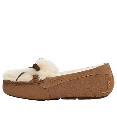 Ugg (wmns)  Ansley Shaine 'chestnut' In Multi