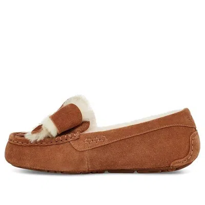 Ugg (wmns)  Ansley Sports Casual Shoes 'chestnut Brown' In Multi