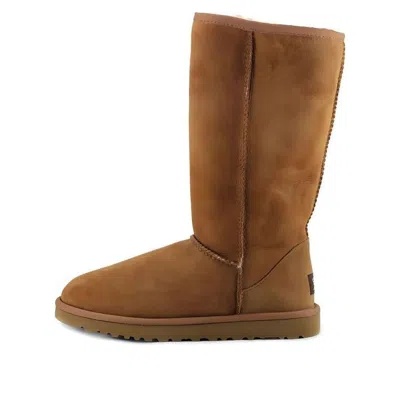 Ugg (wmns)  Australia Classic Tall 'chestnut' In Brown