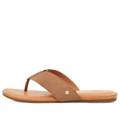 Ugg (wmns)  Carey Thongs 'chestnut'