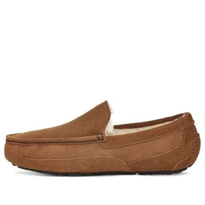 Ugg (wmns)  Casual Low Slippers 'brown'