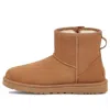 Ugg (wmns)  Classic Mini Bailey Zip Chestnut 'light Brown' In Brown
