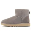 Ugg (wmns)  Classic Mini Ii Boot 'campfire' In Multi