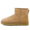Ugg (wmns)  Classic Mini Ii Boot 'chestnut'
