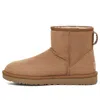 Ugg (wmns)  Classic Mini Regenerate Boot 'chestnut' In Brown