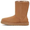 Ugg Classic Ii Short Boots In Brown