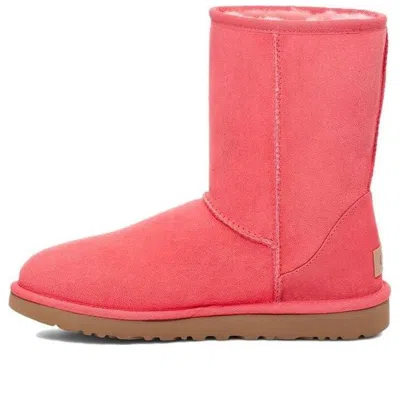 Ugg (wmns)  Classic Short Ii Boot 'nantucket Coral' In Multi