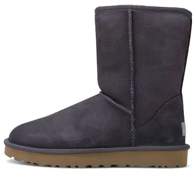 Ugg (wmns)  Classic Short Ii Boot Snow Boots Purple/grey In Gray