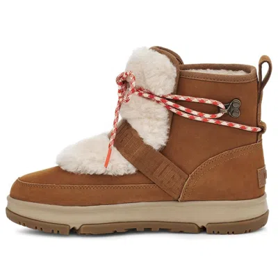 Ugg (wmns)  Classic Weather Hiker Brown
