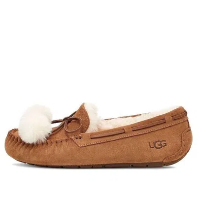 Ugg (wmns)  Dakota Bow Pom 'chestnut' In Brown