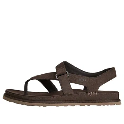 Ugg (wmns)  Goldengaze Toe Post Sandals 'dense Smoke' In Brown