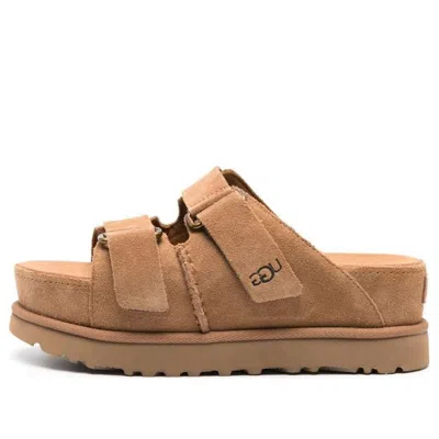 Ugg (wmns)  Goldenstar Hi Slide 'chestnut'