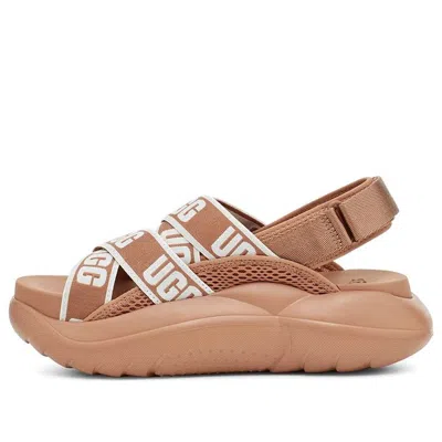 Ugg (wmns)  La Cloud Collection Sports Sandals 'brown'