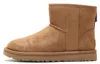 Ugg (wmns)  Logo