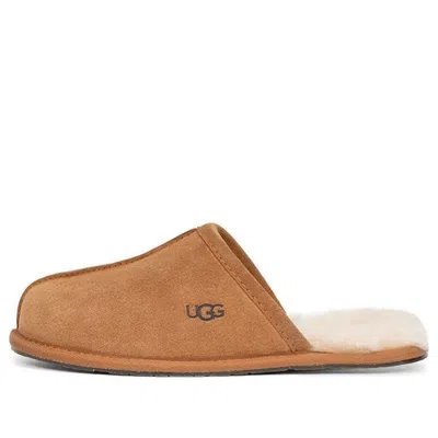 Ugg (wmns)  Pearle Slipper 'chestnut' In Brown