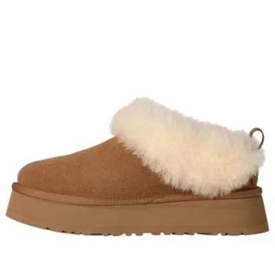 Ugg Tazzelle Logo Patch Slippers In Multi