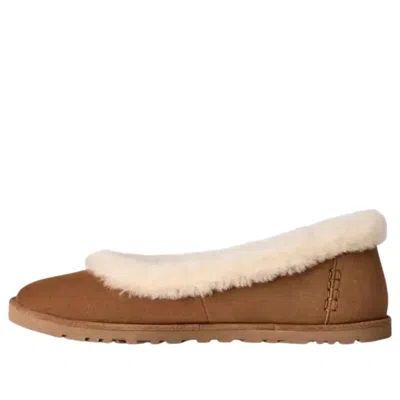 Ugg (wmns)  Zora Ballet Flat 'chestnut' In Brown