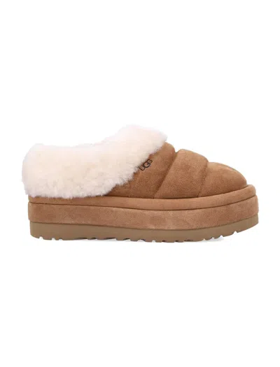UGG UGG WOMAN'S TAZZLITA